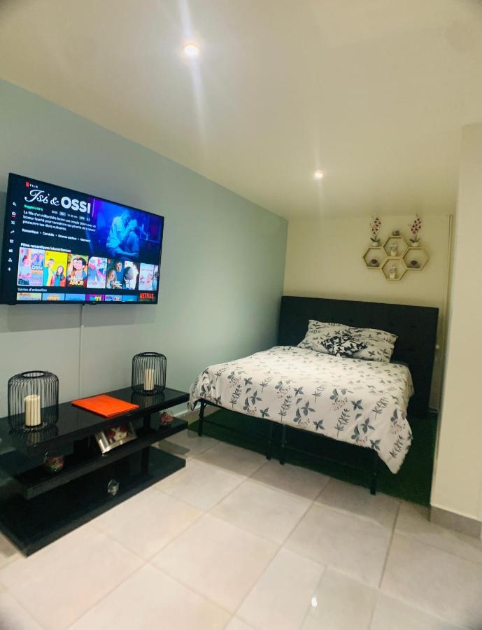 Appartement Cosy Proche Roissy Cdg Asterix Disneyland Paris Goussainville  Exterior photo